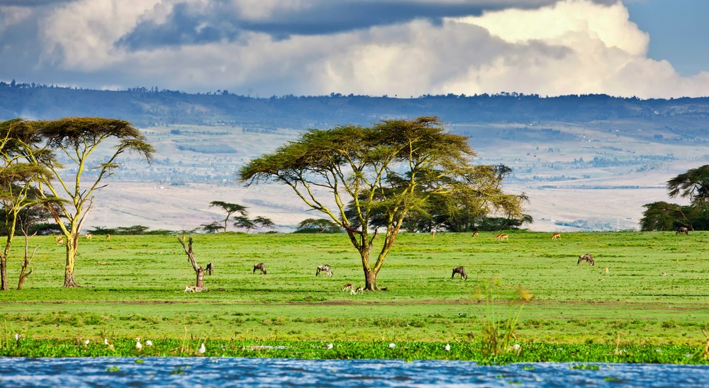 Maasai Mara National Reserve – Lake Naivasha 